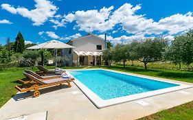 Pool Premium Apartment